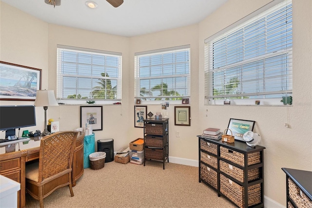 office with light colored carpet and ceiling fan