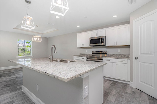 kitchen featuring light wood-type flooring, appliances with stainless steel finishes, a raised ceiling, and a kitchen island with sink