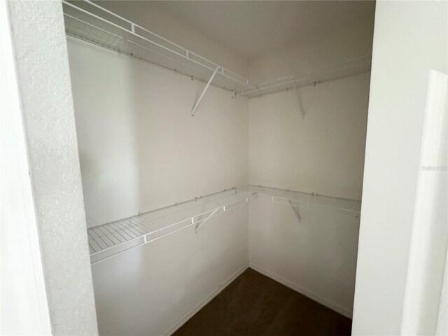 spacious closet with dark carpet