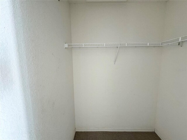 walk in closet with carpet