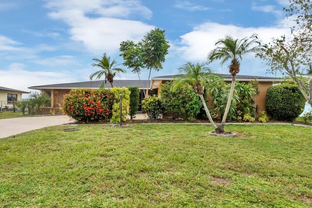 ranch-style house with a front lawn