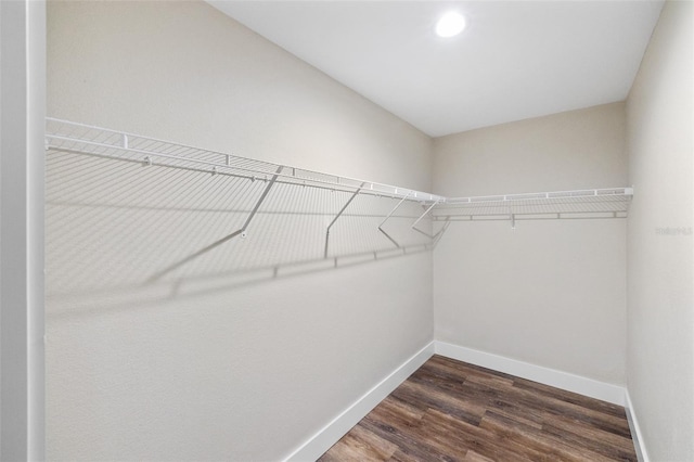 walk in closet featuring dark wood-type flooring