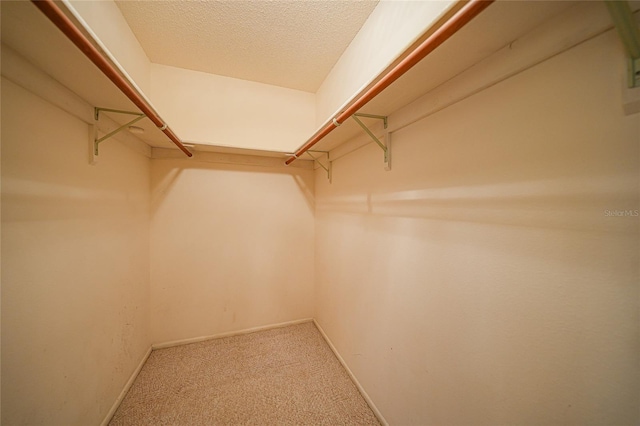 walk in closet featuring carpet flooring