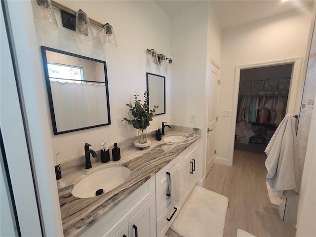 bathroom featuring hardwood / wood-style floors and vanity