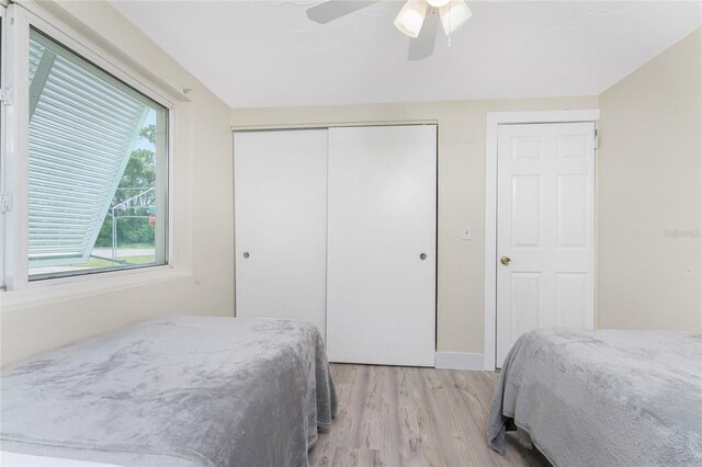 bedroom with ceiling fan, two closets, and light wood-type flooring