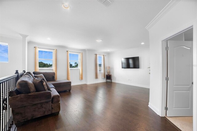 living room with crown molding and dark hardwood / wood-style flooring