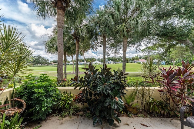 view of community featuring a lawn