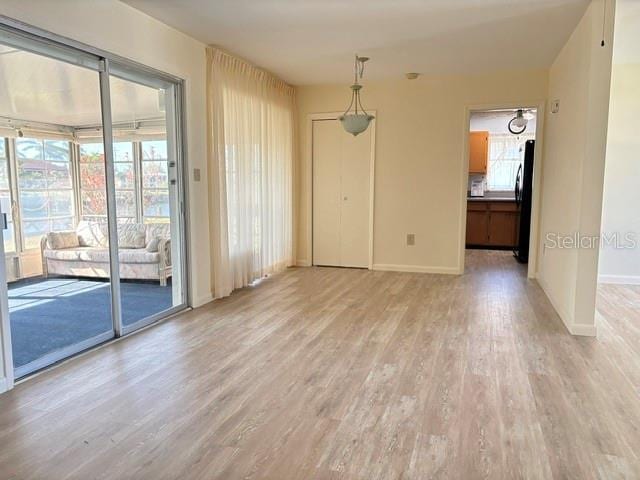 spare room featuring a healthy amount of sunlight and light wood-type flooring