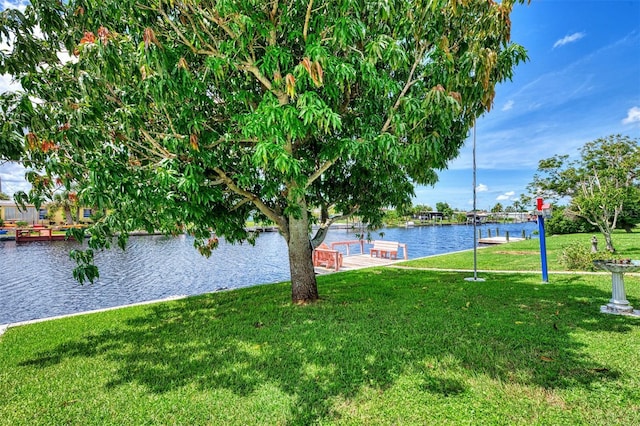 water view featuring a boat dock