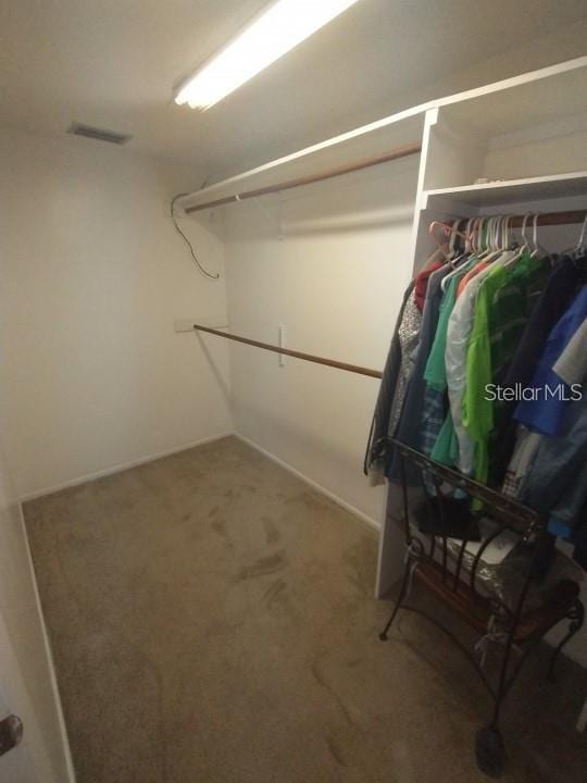 spacious closet with carpet flooring