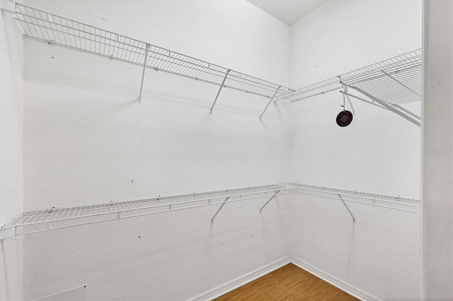 spacious closet with wood-type flooring