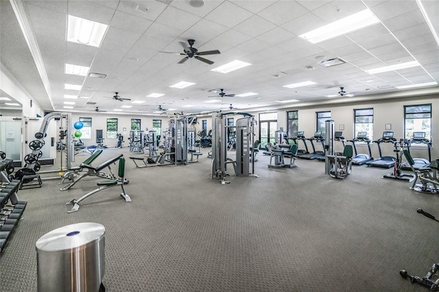 exercise room with ceiling fan, plenty of natural light, and a drop ceiling