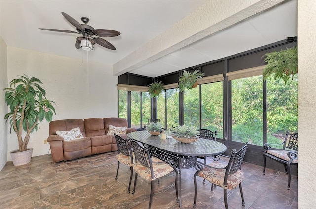 sunroom with a ceiling fan and a wealth of natural light