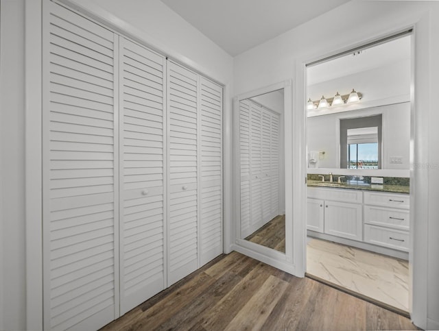 bathroom with vanity and wood-type flooring