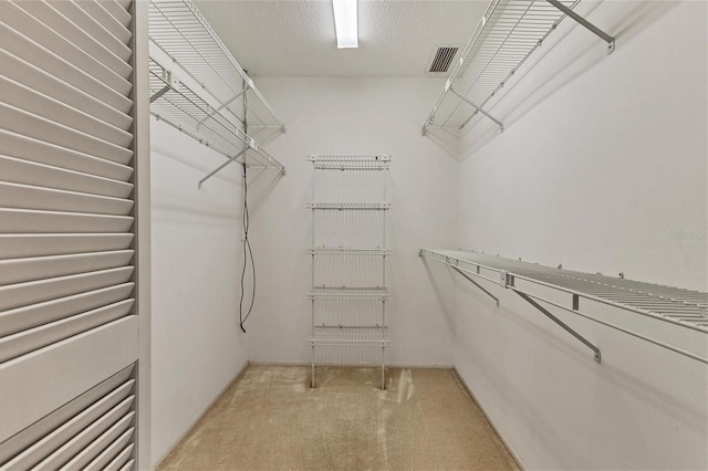 spacious closet with light carpet