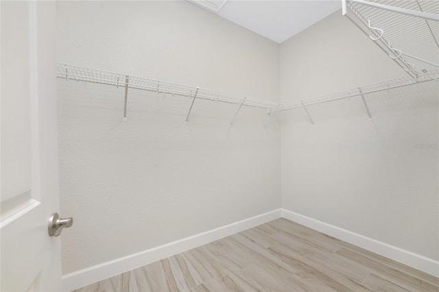 spacious closet featuring light wood-type flooring