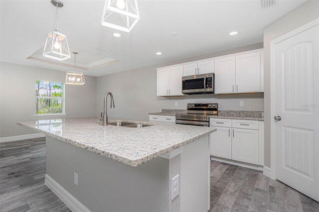 kitchen with light wood-type flooring, appliances with stainless steel finishes, a raised ceiling, and a center island with sink