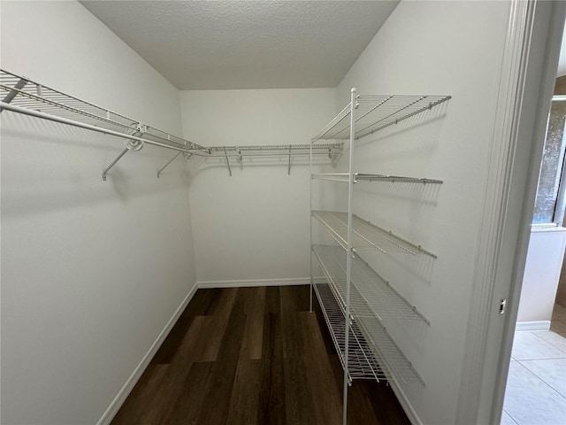 walk in closet featuring wood-type flooring