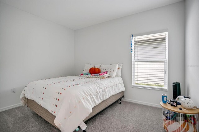 1352 Sunset Preserve Way, Port Charlotte, FL 33953 - photo 23