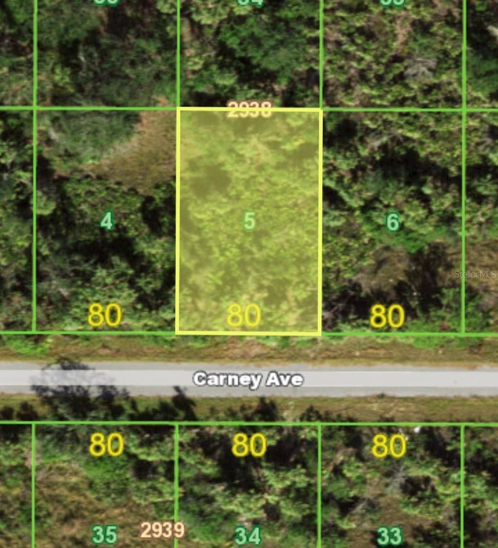 14148 Carney Ave, Port Charlotte, FL 33953