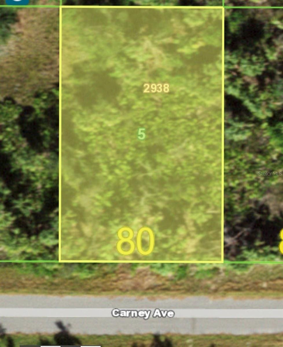 14148 Carney Ave, Port Charlotte, FL 33953