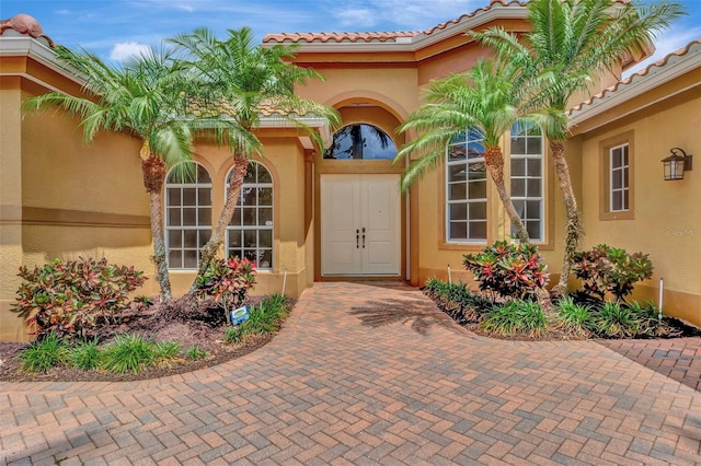 doorway to property with stucco siding and a tile roof