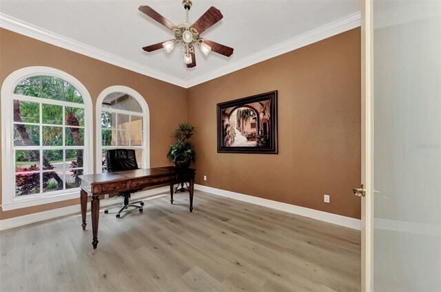 office area featuring ceiling fan, a wealth of natural light, ornamental molding, and light hardwood / wood-style flooring