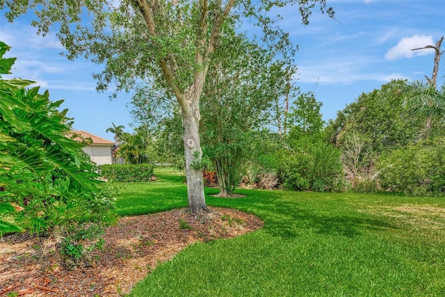 view of yard featuring a garage