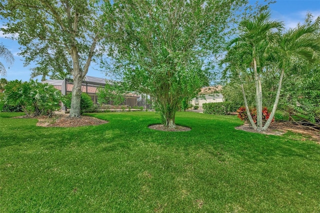 view of yard with glass enclosure