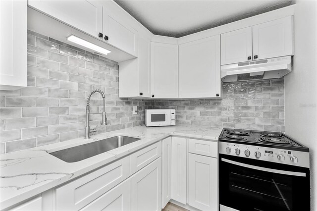 kitchen with a sink, stainless steel range with electric stovetop, white microwave, backsplash, and under cabinet range hood