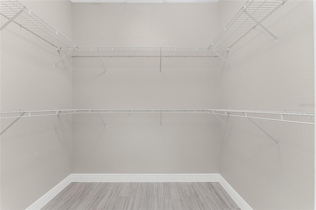 spacious closet featuring wood-type flooring