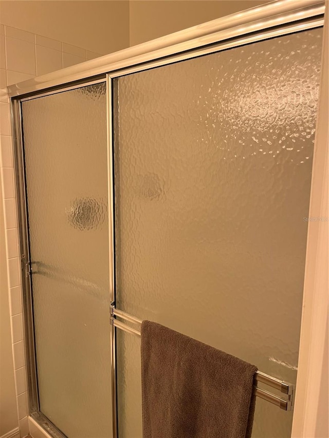 bathroom featuring a shower with shower door