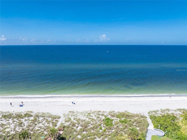 property view of water featuring a beach view