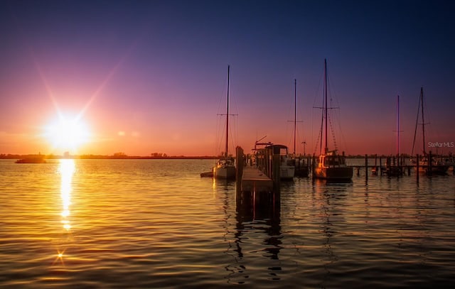 water view featuring a boat dock