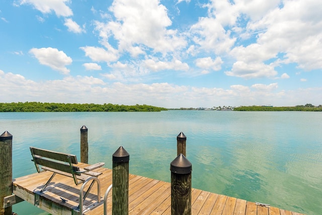 dock area with a water view