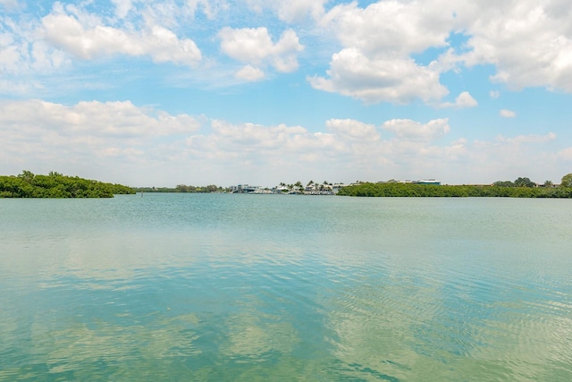 view of water feature