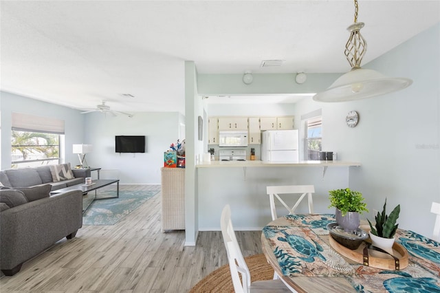 dining area with light hardwood / wood-style flooring and ceiling fan