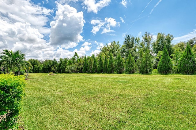 view of yard featuring a rural view