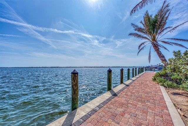 dock area with a water view