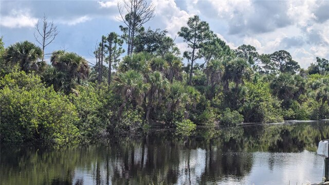 12333 Koenig Ln, Port Charlotte, FL 33953 - photo 10