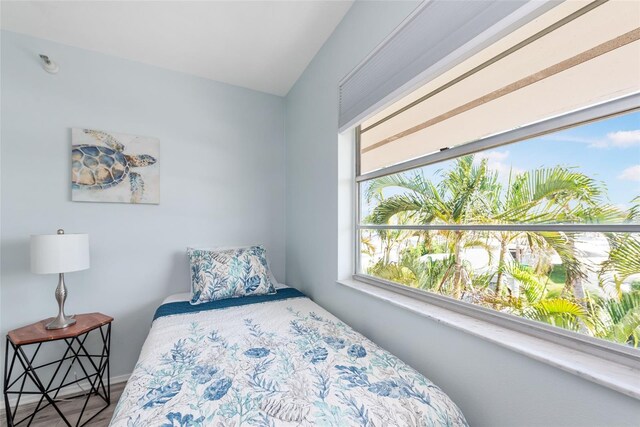 bedroom featuring multiple windows and hardwood / wood-style flooring