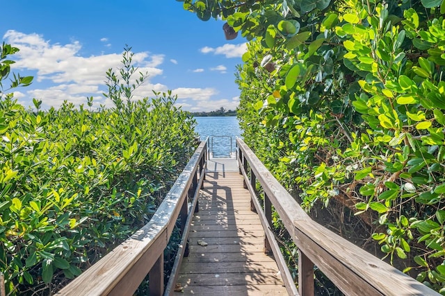 dock area with a water view