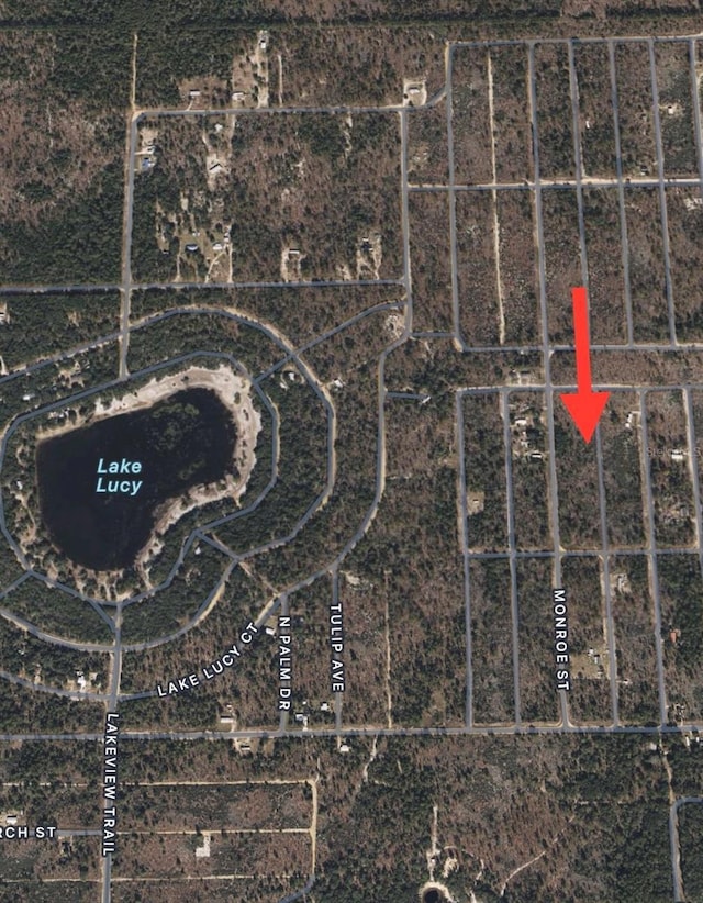 LOTS39-44 17th St, Interlachen, FL 32148