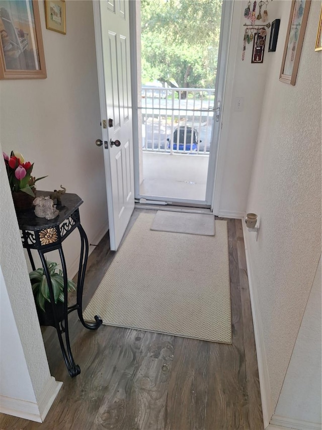 entryway with wood-type flooring