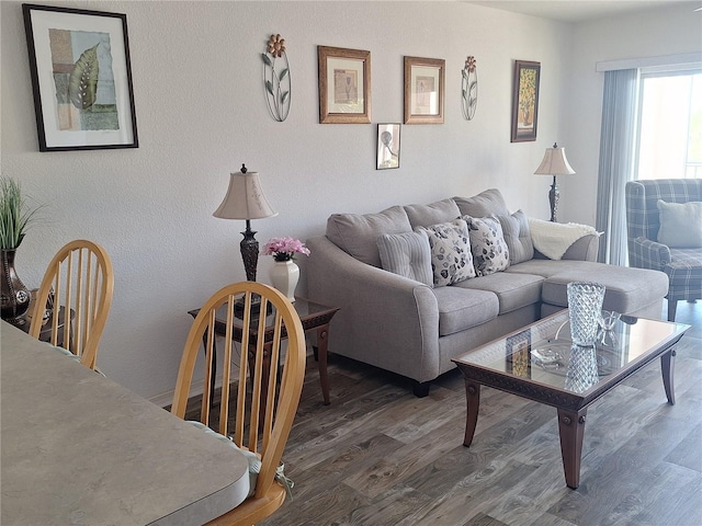 living room featuring dark wood-type flooring