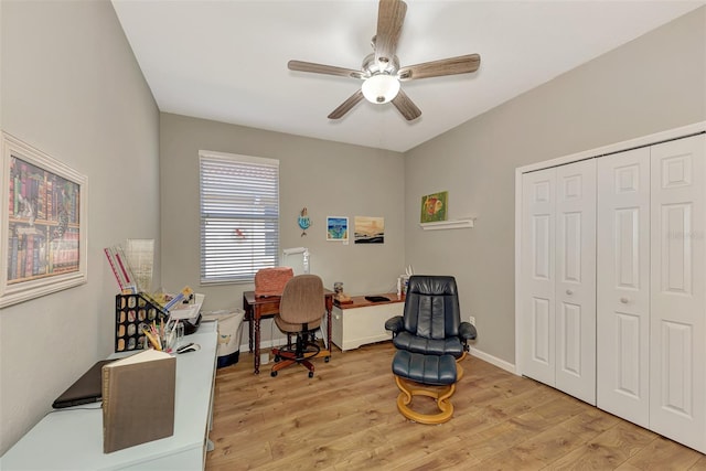 office featuring light hardwood / wood-style flooring and ceiling fan