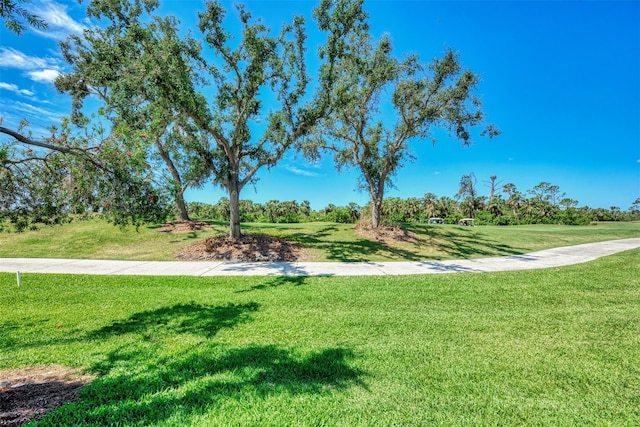 view of property's community with a yard