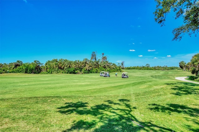 view of home's community featuring a lawn