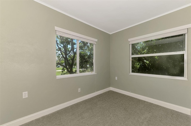 carpeted spare room with crown molding