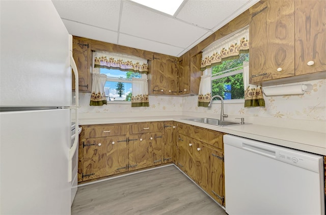 kitchen featuring white appliances, light hardwood / wood-style flooring, sink, and a drop ceiling